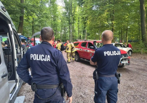 Setki osób szukają 12-latki w Lesie Wolskim. Ogromna akcja służb w Krakowie