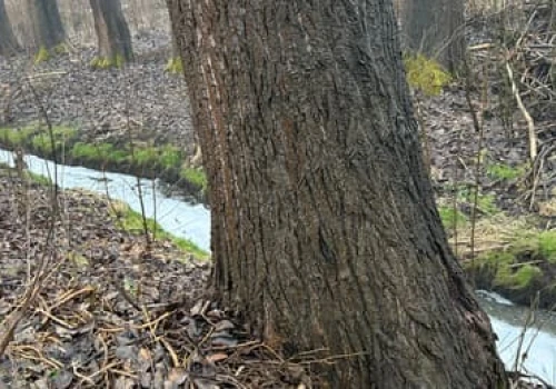 Państwowy gigant wycofuje pozew. Chemia wciąż trafia do rzeki