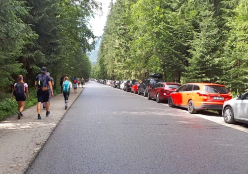 Ukraiński influencer wjechał sportowym autem nad Morskie Oko. Dostał 100 zł mandatu