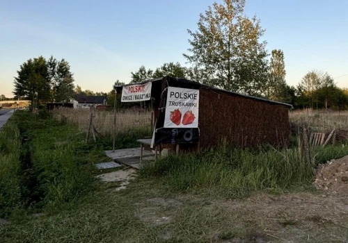 Chce pomóc dziadkowi, który stoi przed decyzją o zamknięciu sklepu. Włożył w to miejsce serce, ale ciężko mu konkurować z marketami