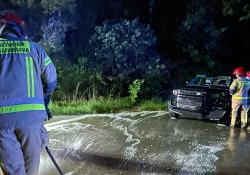 Zderzenie auta z sarną w rejonie Dąbrowy-Gogole