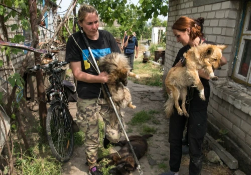 Ratują zwierzęta pod bombami. 