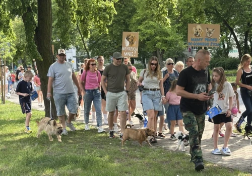 Konin. Wielka parada kundelków i nie tylko przeszła przez centrum miasta