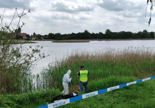 Kto brutalnie zabił psa z jeziora w Szczytnie? Zwierzę rozpoznała właścicielka