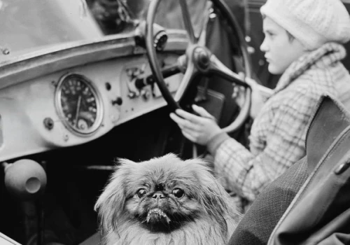 Śląski Cartier-Bresson - przekrojona wystawa Józefa Makala w Katowicach