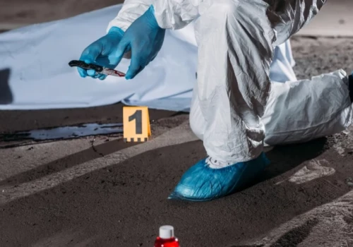 Syn znalazł ciało matki, obok leżał jej były mąż. Kłótnie o sprzątanie powodem zbrodni