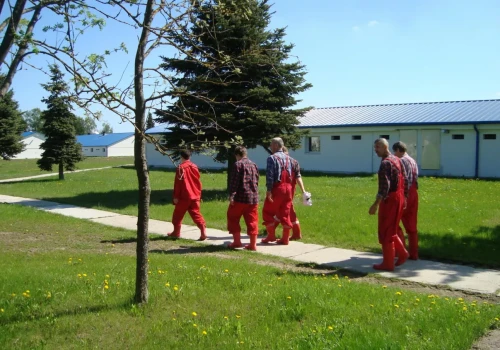Tarcza przed stratami: bioasekuracja, która chroni wynik produkcyjny