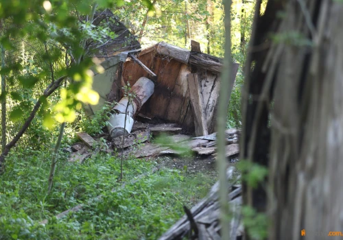 Makabra w Skajbotach. W przydomowej studni, w której miała być „bardzo dobra woda”, znaleziono zwłoki mężczyzny