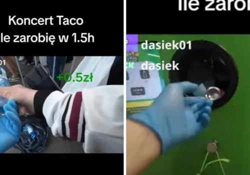 Przed koncertem Taco ruszył 