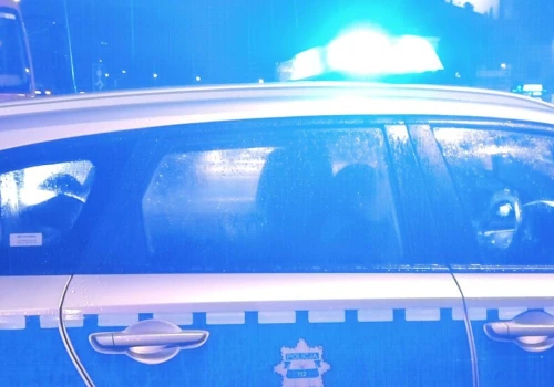 Zderzenie auta z łosiem. Są utrudnienia w ruchu na drodze krajowej nr 48