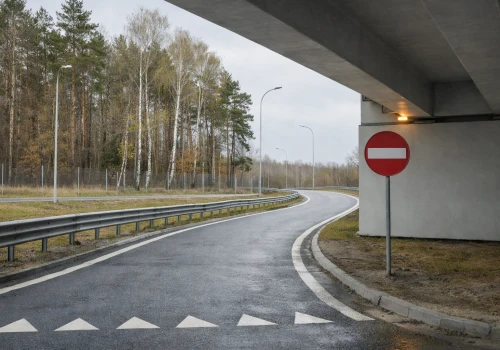 Mandat za jazdę pod prąd może być różny. Sprawdź, kiedy grozi sąd