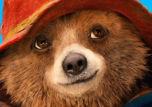 Miś Paddington jeszcze powróci. Kolejna część rodzinnego cyklu zmierza do kin
