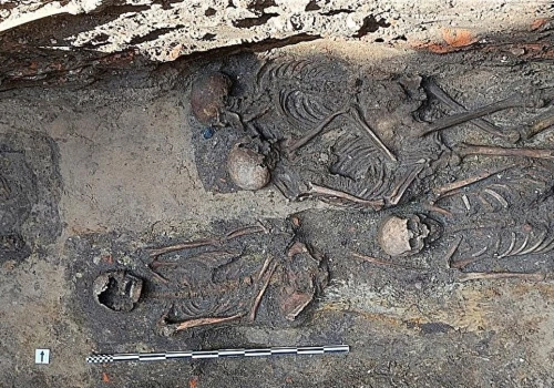 Odkrycie w Opolu. Analiza DNA ujawnia tajemnice średniowiecznego pochówku dwóch kobiet