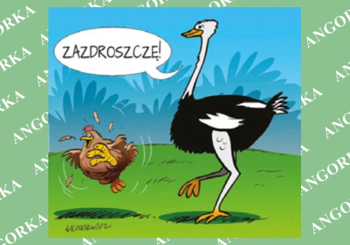 Dlaczego jedne ptaki latają, a inne nie? Odpowiedź może być zaskakująca