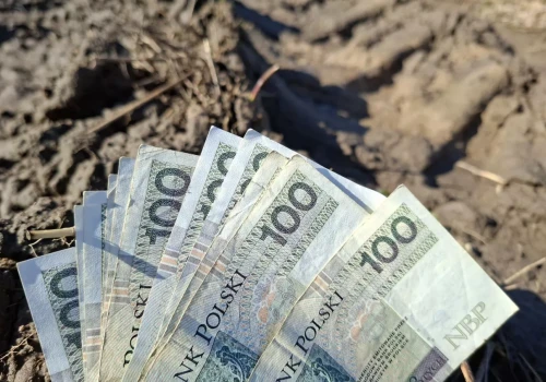 Dopłaty do materiału siewnego tylko online. Od 25 maja wchodzi ważna zmiana