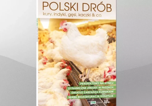 Polski Drób – nowa publikacja o branży, która napędza polskie rolnictwo