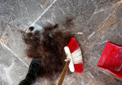 Włosy z salonów fryzjerskich... trafiają do lasów. Jelenie są wściekłe, drzewa zachwycone
