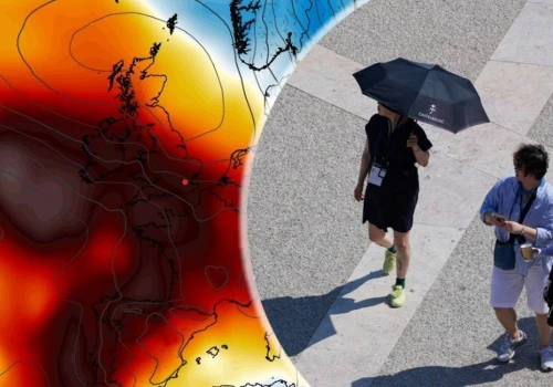 Alarm w Portugalii. Wszystko przez falę skrajnych upałów