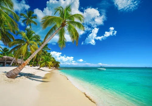 Dominikana na 11 dni od 3541 PLN ☀️🏖️ Loty + apartament z dostępem do basenu 👙💦