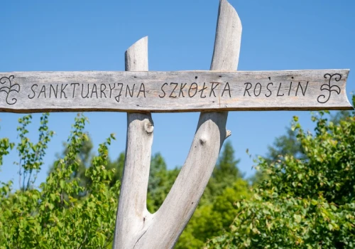 Tulipany, lilie i pomoc. Szkółka działa przy licheńskim sanktuarium