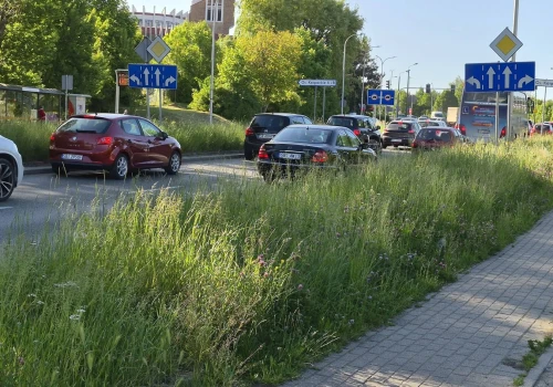 Będzie więcej porządku przy bielskich drogach. Miasto wprowadza nowy harmonogram koszenia