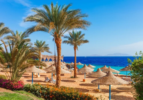 Nurkuj w Marsa Alam 🤿🌊 Al inclusive w 4* hotelu nad Morzem Czerwonym za 2067 PLN