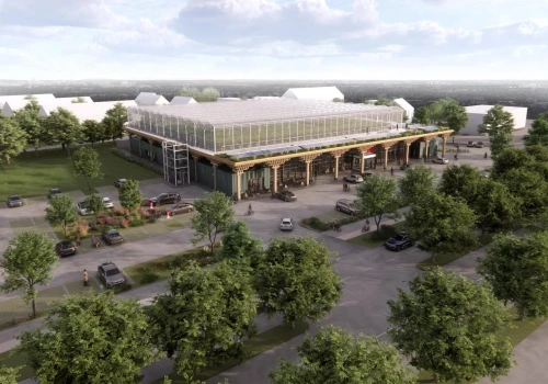Rewe otworzyło supermarket z farmą na dachu. Tak może wyglądać handel przyszłości