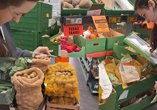 Kontrole ziemniaków z importu. WIORiN sprawdza dokumenty i bulwy