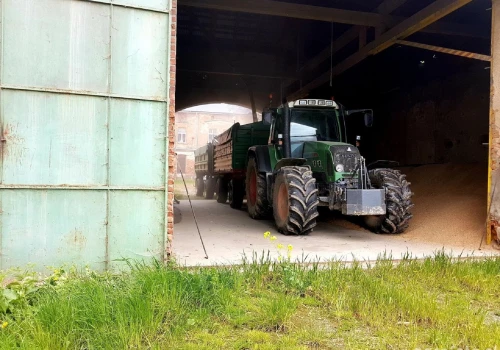 Magazyny są pełne zboża, a pieniędzy brakuje. Rolnicy liczą na ruch państwa