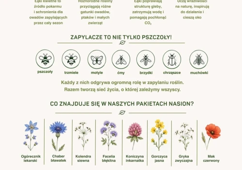 KNELSEN Polska głównym patronem akcji „ZasiejMy Naturę” – 500 szkół, tysiące uczniów i jeden wspólny cel