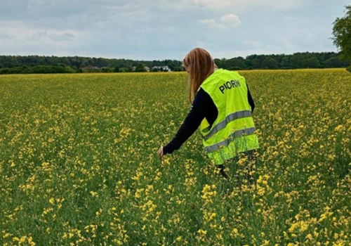 Kontrole PIORiN w gospodarstwach. Tych dokumentów może zażądać inspektor