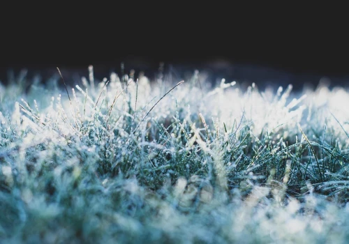 Zamiast letniego ciepła – minusowe temperatury. Podkarpacie w strefie alertów IMGW