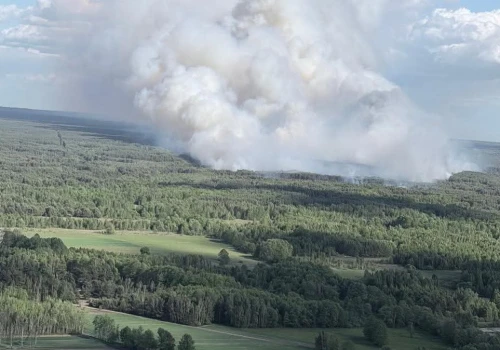Duży pożar lasu pod Warszawą. W akcji samoloty i Black Hawk