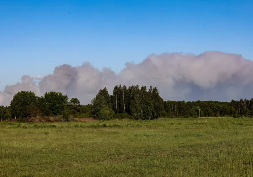 Mazowieckie: pożar lasu w powiecie wołomińskim, trwa akcja gaśnicza