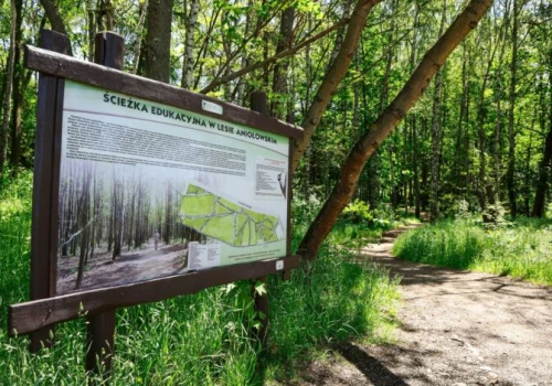 Spacerem przez zieloną Częstochowę – Lasek Aniołowski, Lisiniec i Park Staszica