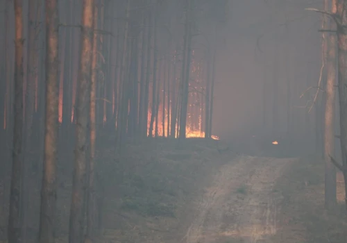 Strażacy z naszego regionu jadą pomagać w akcji gaśniczej pod Warszawą. Zadysponowano moduł GFFF