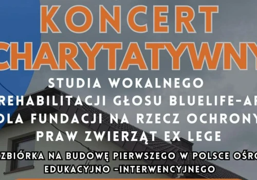 Charytatywny koncert w Lublinie. Wszystko na rzecz pierwszego w Polsce ośrodka dla skrzywdzonych zwierząt