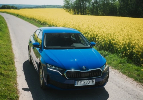 Ulubiona Skoda Polaków w 