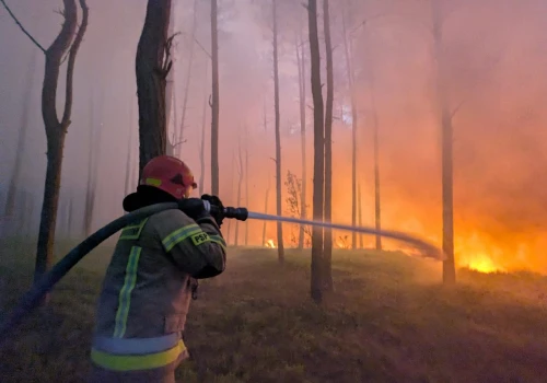 Ponad 100 hektarów lasu w ogniu. Trwa duża akcja gaśnicza w powiecie wołomińskim