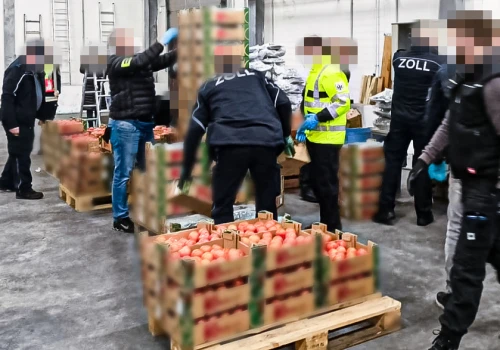 Mieli przemycać narkotyki w… skrzynkach z pomidorami. Teraz staną przed sądem