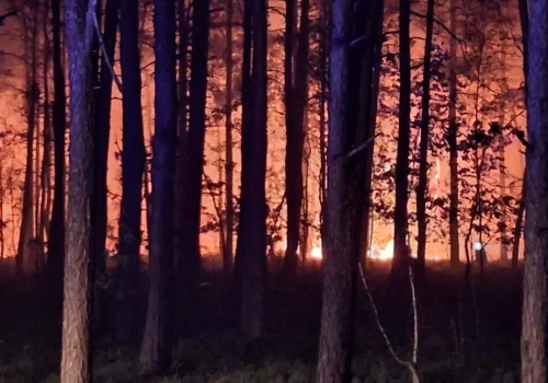 Ponad 100 hektarów lasu w ogniu. Trwa jedna z największych akcji gaśniczych na Mazowszu