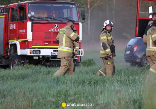 Ogromny pożar lasu na Mazowszu. Nowe informacje od strażaków