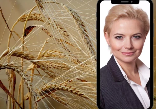 Polsce zostało 7 mln ton zboża. Co będzie z cenami przed żniwami?