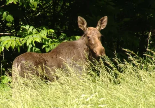 Nietypowa interwencja na cmentarzu, trwa akcja służb. 