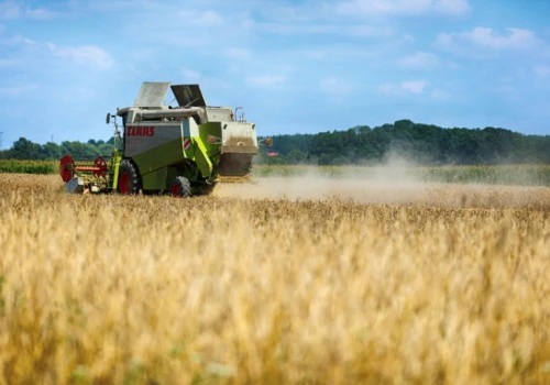Polska naciska na Komisję Europejską. Chodzi o import żywności spoza UE