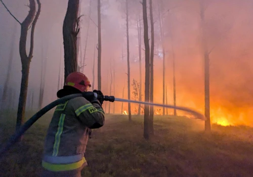 Pożar lasów w powiecie wołomińskim. Trwa walka z ogniem