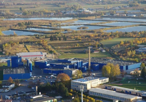 Spółdzielnia Mleczarska Ryki szykuje dużą imprezę dla mieszkańców regionu. Wystąpią m.in. Zenon Martyniuk i Brathanki