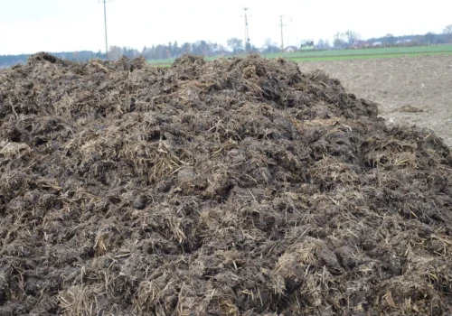 Przywieźli obornik i od razu rozrzucili. Czy wtedy płyta jest potrzebna?
