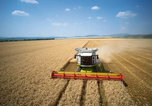 Używane kombajny na 100–200 ha. Rolnicy polują dziś na takie maszyny