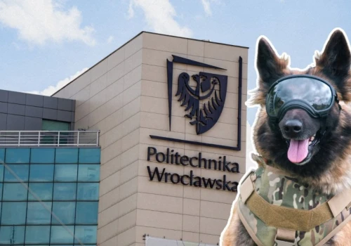 Kamizelki dla psów od Politechniki Wrocławskiej. Szarik też będzie pancerny
